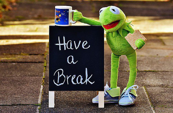 Have a break Kermit