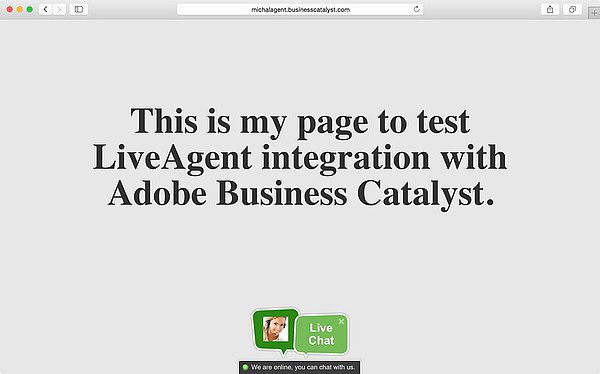 Ενσωμάτωση LiveAgent Adobe Business Catalyst 