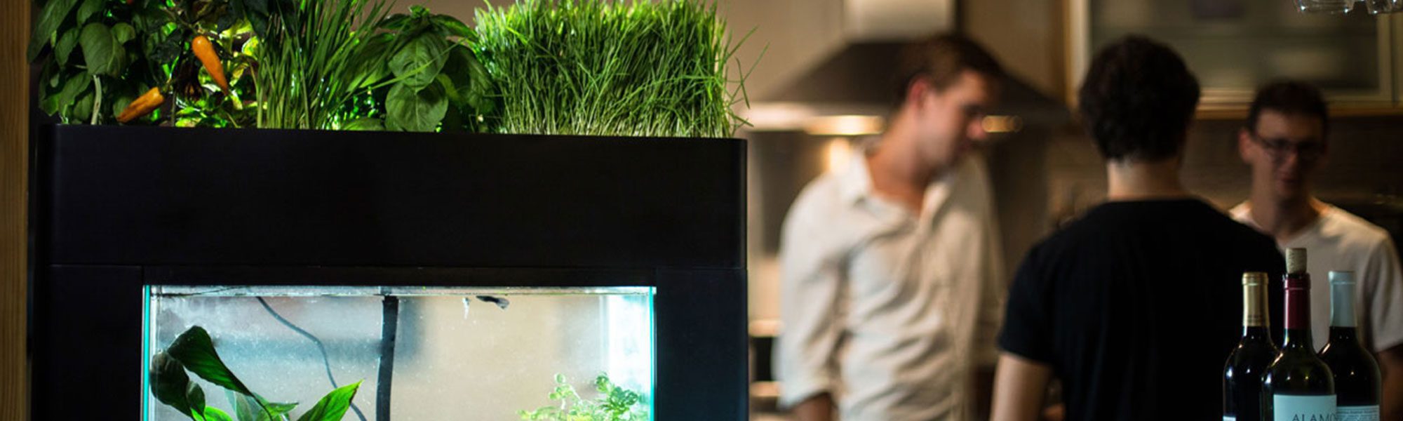 Aquasprouts