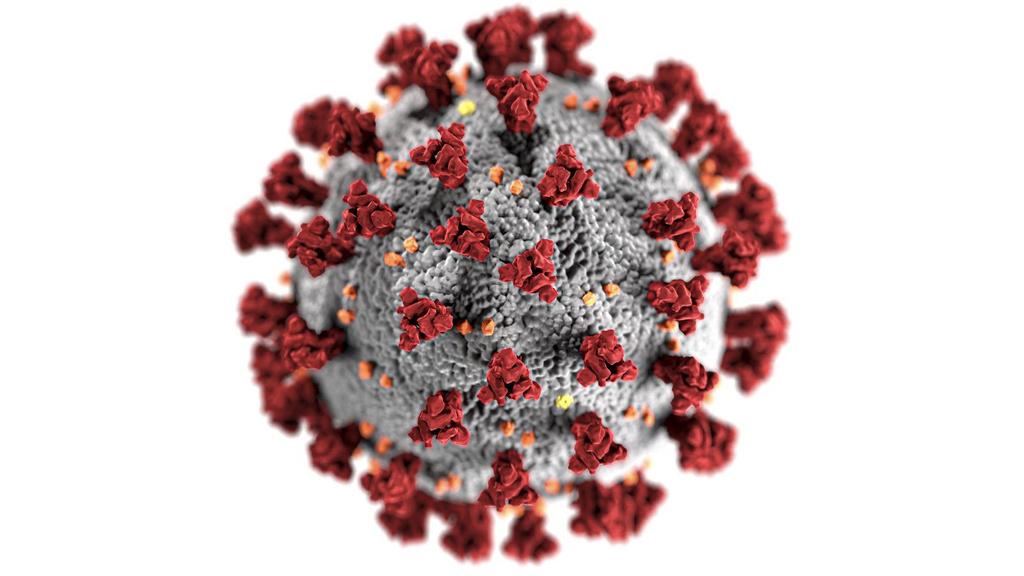 25+ free resources for customer service to learn from during the COVID-19 outbreak