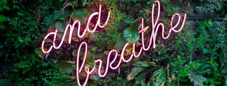 Consejos para la resolución de conflictos al manejar y resolver conflictos con clientes