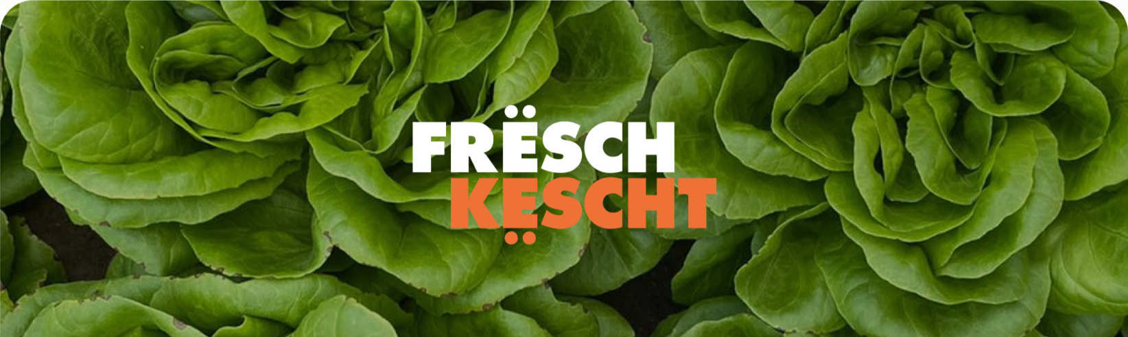 FrëschKëscht (فريش كيشت)