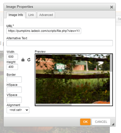 Advanced image settings in LiveAgent