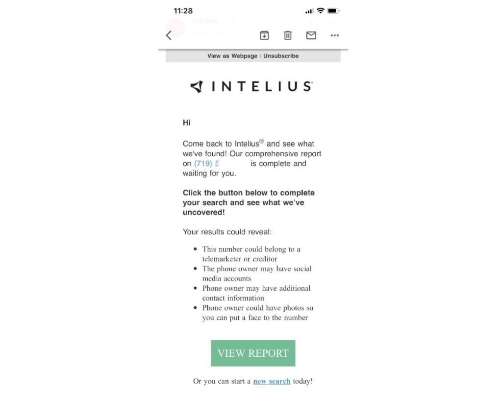 Intelius - Резултати от търсене, показани в имейл