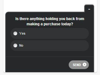 on-site-customer-survey-example On-site customer survey example