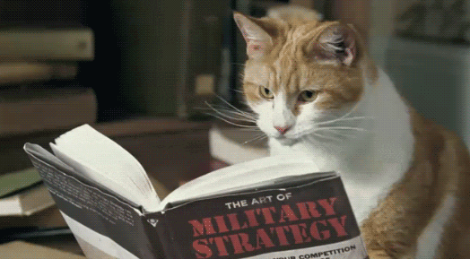 cat-browing-book-gif Cat browing book gif