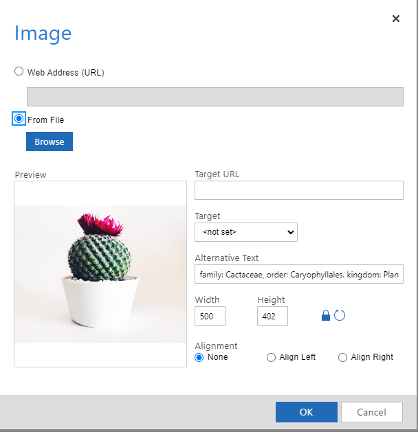Adding image in Dynamics 365