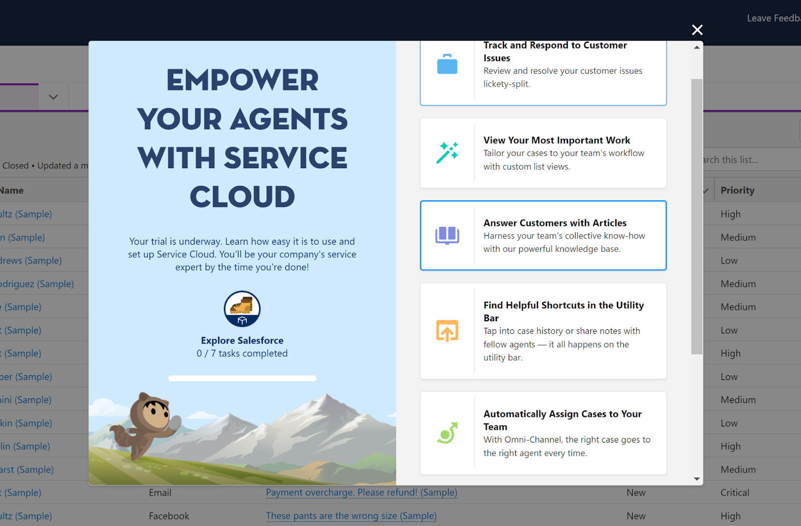 Salesforce Sales Cloud intro window in app