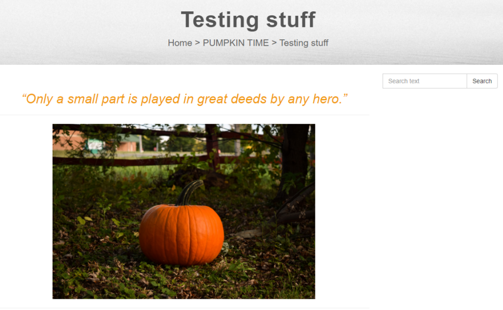 Preview of new knowledge base article in LiveAgent