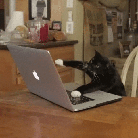 cat-furiously-typing-on-laptop-keyboard-gif cat furiously typing on laptop keyboard - gif
