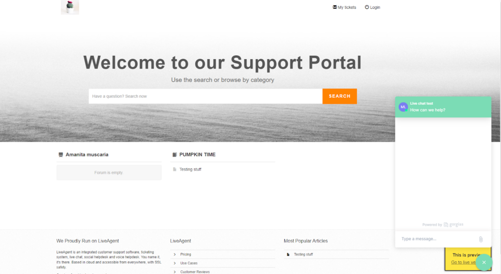 Gorgias live chat widget preview on website